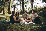 Vacation with family, friends and pets in the city park